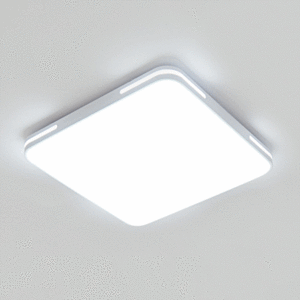 LED 60W 프론 방등 직부 520형